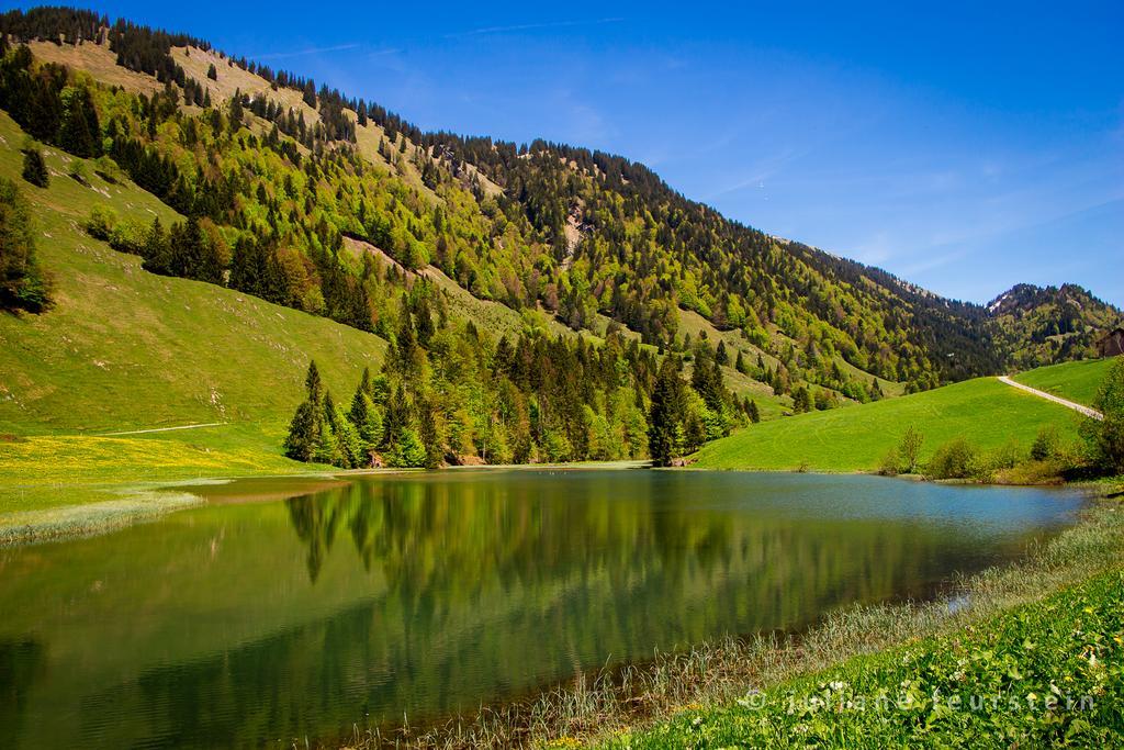 Apartament Haus Feurstein Hittisau Zewnętrze zdjęcie