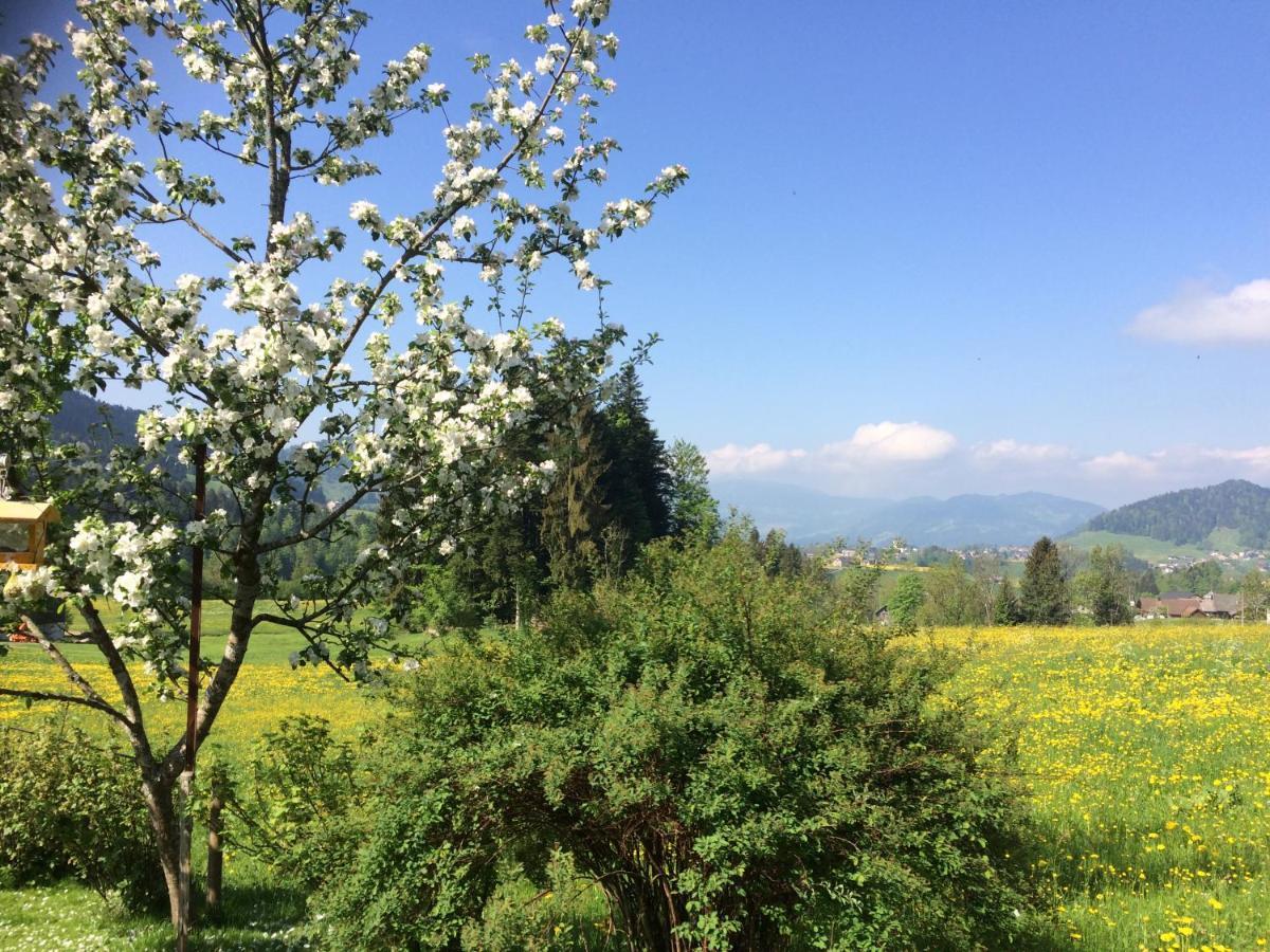 Apartament Haus Feurstein Hittisau Zewnętrze zdjęcie